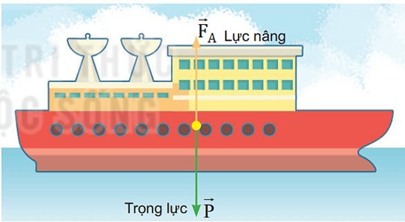 Lý thuyết Vật Lí 10 Bài 19: Lực cản và lực nâng 5