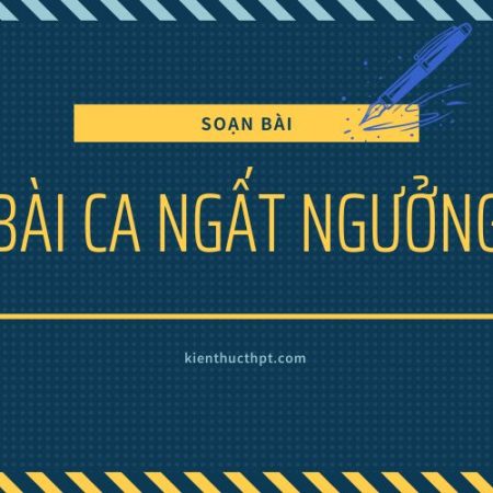 Soạn bài Bài ca ngất ngưởng ngắn nhất – SGK Ngữ văn 11