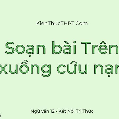 Hướng dẫn Soạn bài Trên xuồng cứu nạn – Ngữ văn 12 ngắn nhất