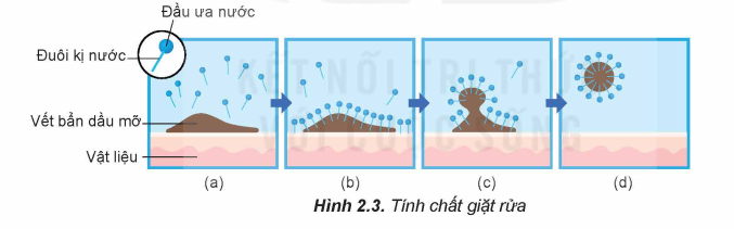 Tính chất giặt rửa