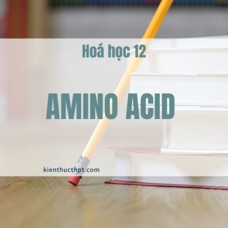 Amino acid là gì? Đặc điểm cấu tạo và tính chất – Hoá học 12