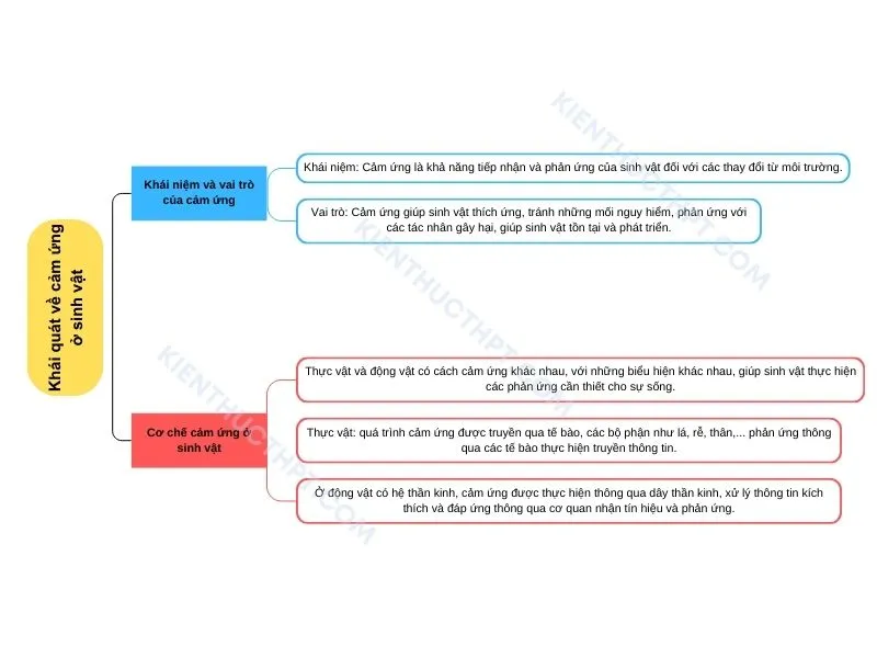 Khái quát về cảm ứng ở sinh vật