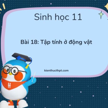 Bài 18 tập tính ở động vật – Tập tính ở động vật là gì?