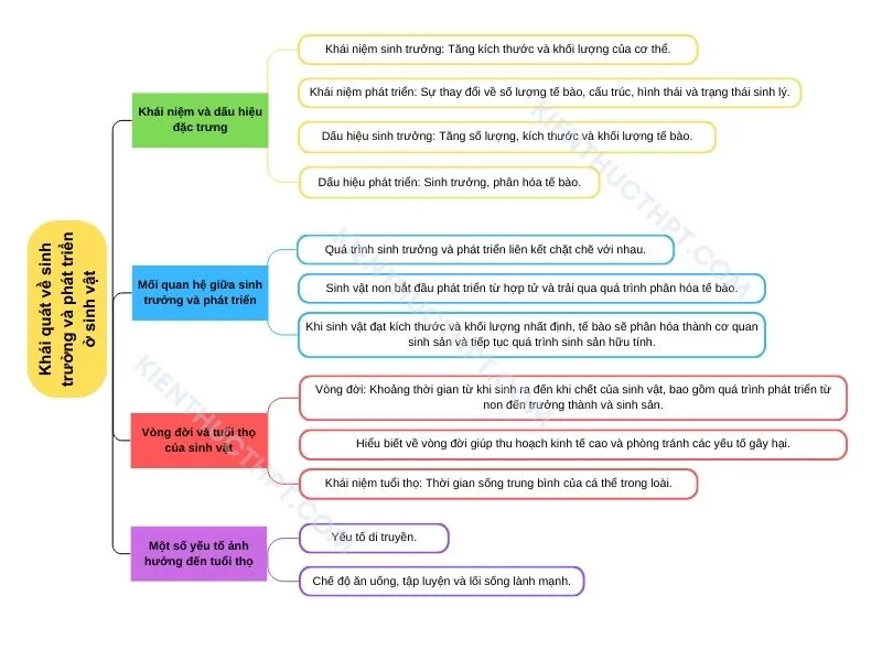 Khái quát về sinh trưởng và phát triển ở sinh vật