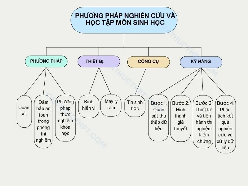 Sơ đồ tư duy bài 2: Phương pháp nghiên cứu và học tập môn sinh học