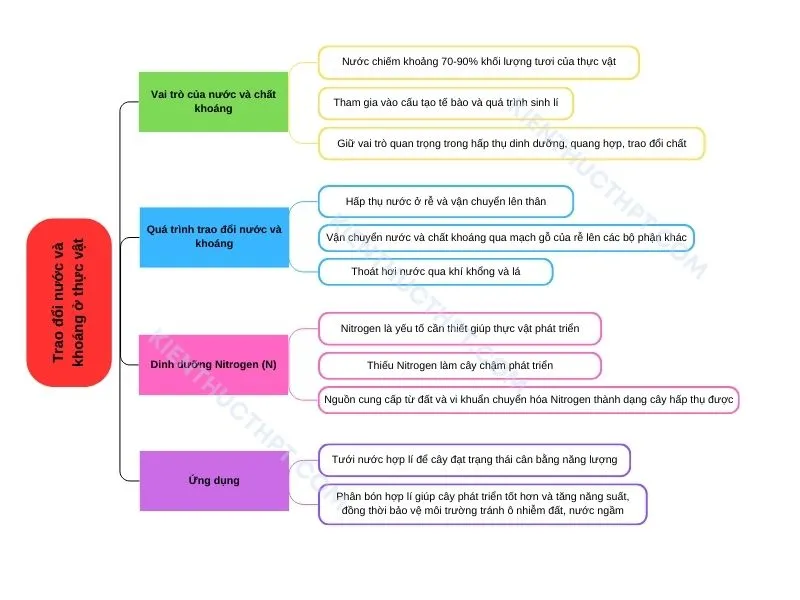 Trao đổi nước và khoáng ở thực vật