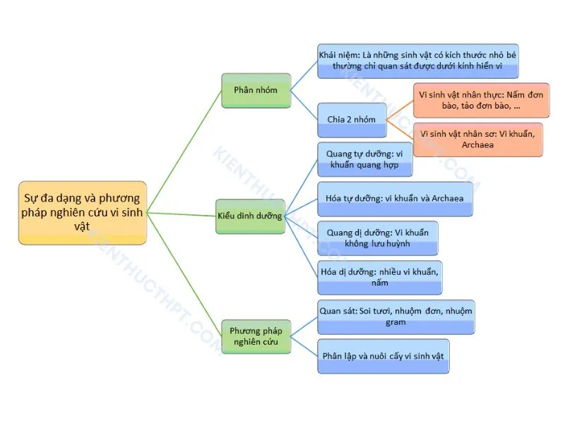 Sơ đồ tư duy bài 20: Sự đa dạng và phương pháp nghiên cứu vi sinh vật