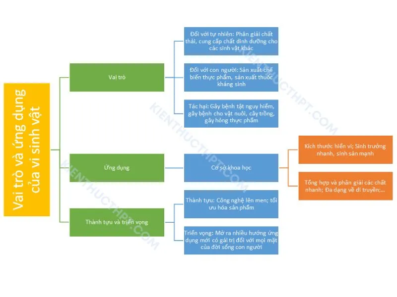 Sơ đồ tư duy bài 22: Vai trò và ứng dụng của vi sinh vật