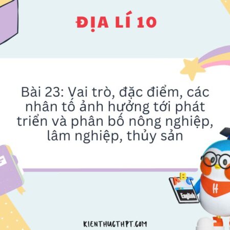 Giải câu hỏi bài 23 Địa 10 Kết nối tri thức trang 67, 68 SGK