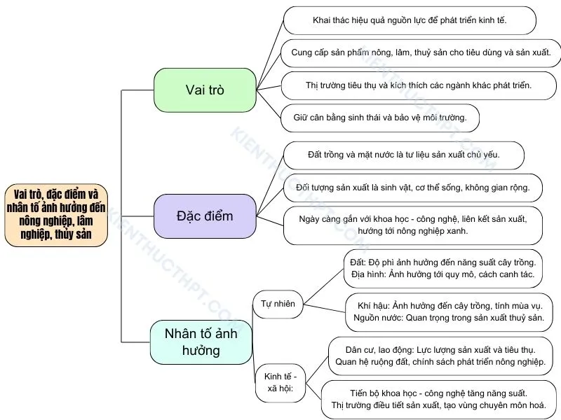 Vai trò - đặc điểm - các nhân tố ảnh hưởng tới phát triển và phân bố nông nghiệp - lâm nghiệp - thủy sản