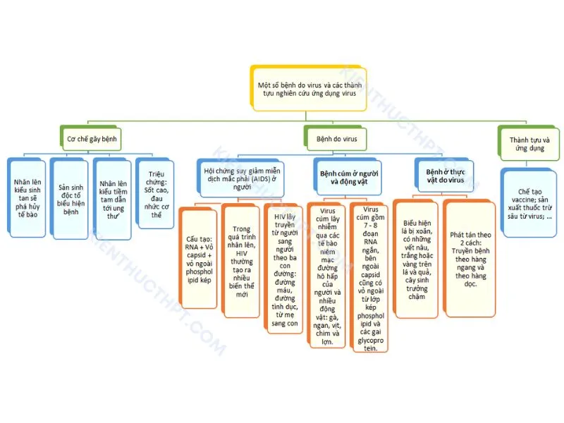 Sơ đồ tư duy bài 25: Một số bệnh do virus và các thành tựu nghiên cứu ứng dụng virus