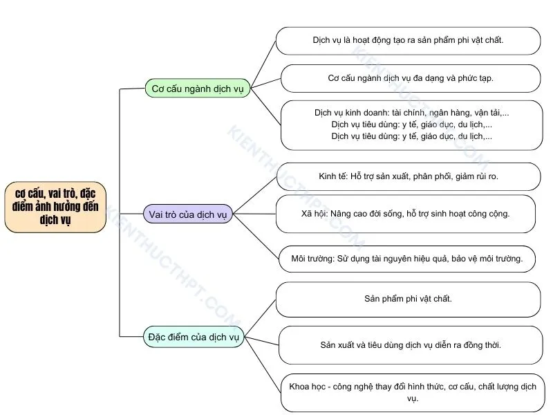 Cơ cấu, vai trò, đặc điểm, các nhân tố ảnh hưởng đến sự phát triển và phân bố dịch vụ