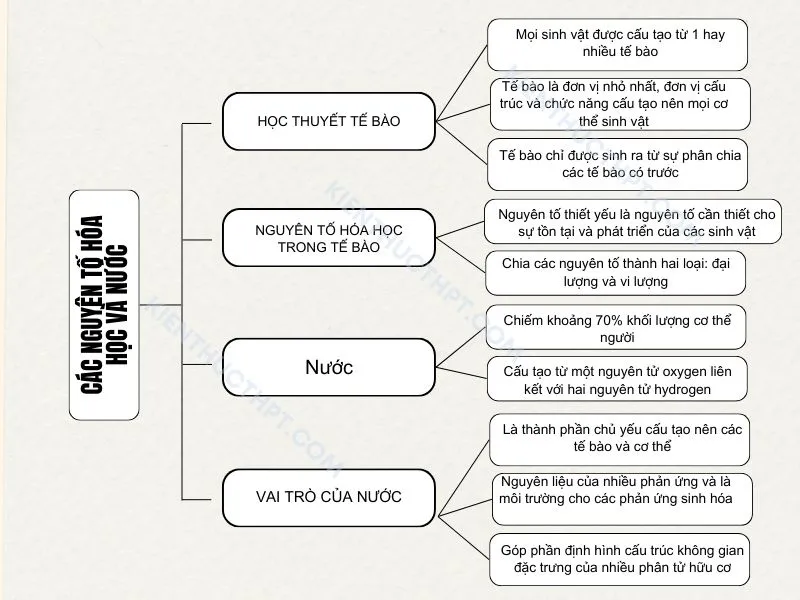 Sơ đồ tư duy bài 4: Các nguyên tố hóa học và nước