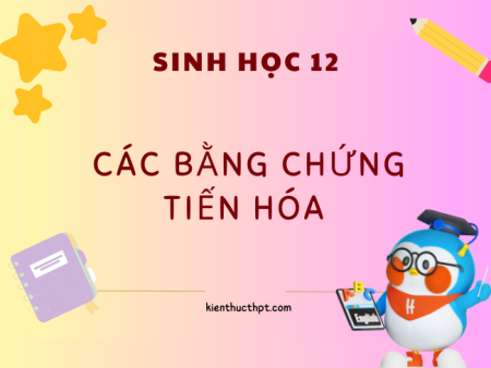 Lý thuyết các bằng chứng tiến hóa Sinh học 12 bài 19 đầy đủ