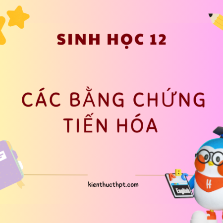 Lý thuyết các bằng chứng tiến hóa Sinh học 12 bài 19 đầy đủ