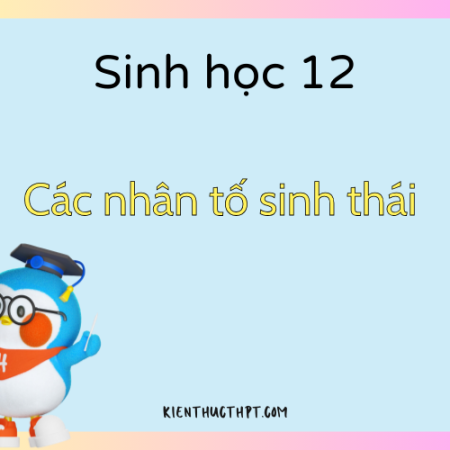 Có các loại nhân tố sinh thái nào? Sinh học 12 Bài 23