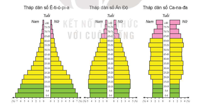 Các tháp dân số đặc trưng trên thế giới năm 2020