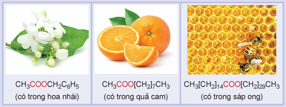 Công thức cấu tạo của một số ester trong tự nhiên