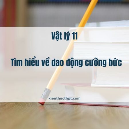 Dao động cưỡng bức là gì? Tìm hiểu đặc điểm trong Vật Lí 11