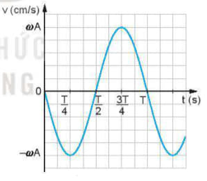 Đồ thị ( v - t ) của 1 vậy giao động điều hoà