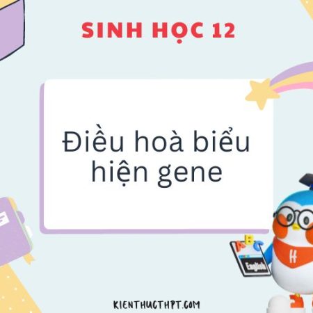 Giải bài tập Sinh 12 Bài 3: Điều hoà biểu hiện gene mới nhất