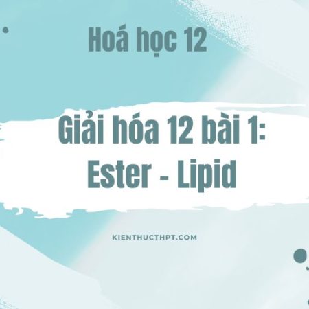 Hướng dẫn giải Hóa 12 bài 1: Ester – Lipid Kết nối tri thức