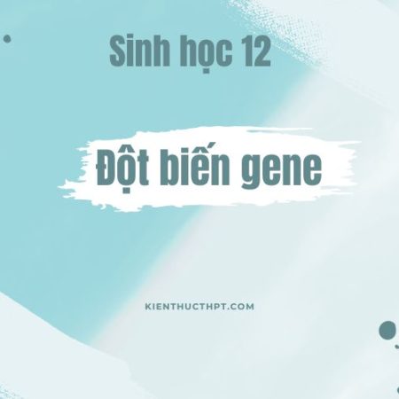 Hướng dẫn giải Sinh 12 bài 4: Đột biến gene chi tiết dễ hiểu