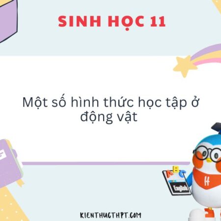 Một số hình thức học tập ở động vật, cơ chế học tập ở người