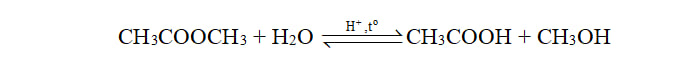 Phản ứng thuỷ phân ester CH3COOCH3 trong môi trường acid