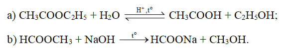 Phương trình hoá học của các phản ứng