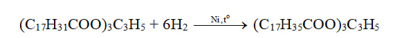 Phương trình hoá học của phản ứng hydrogen hoá chất béo