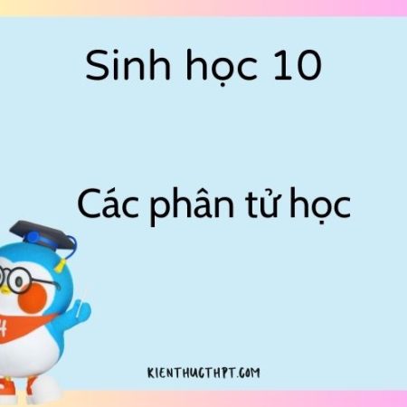 Giải sinh 10 bài 5 kết nối tri thức: Các phân tử học đầy đủ