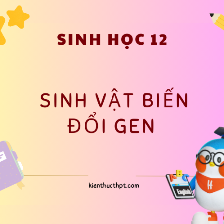 Sinh vật biến đổi gene là gì? Nguyên lý tạo ra biến đổi gene