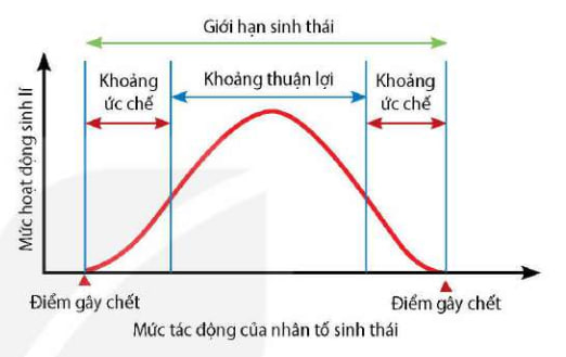 Mức tác động của nhân tố sinh thái