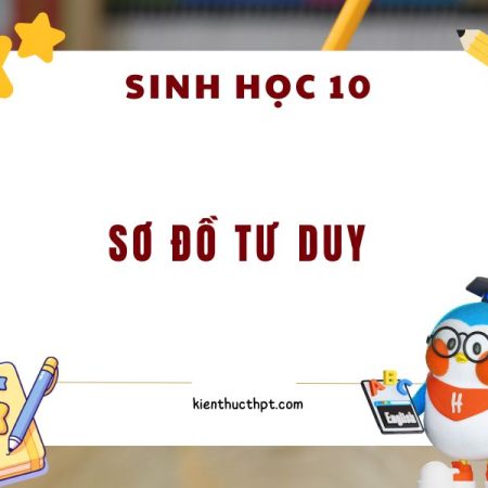 Sơ đồ tư duy Sinh 10 Kết nối tri thức PDF từ chương 1 – 7