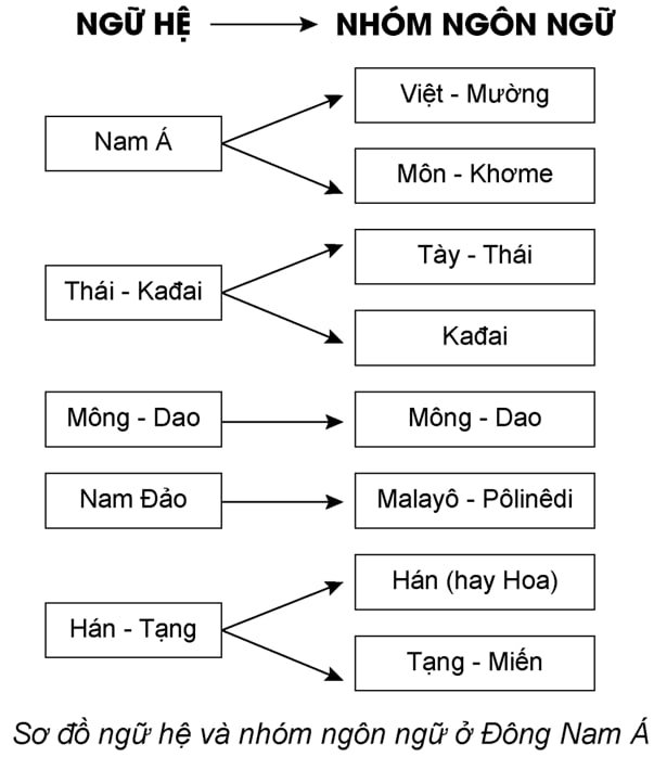 Sơ đồ về các ngữ hệ và nhóm ngôn ngữ Việt Nam