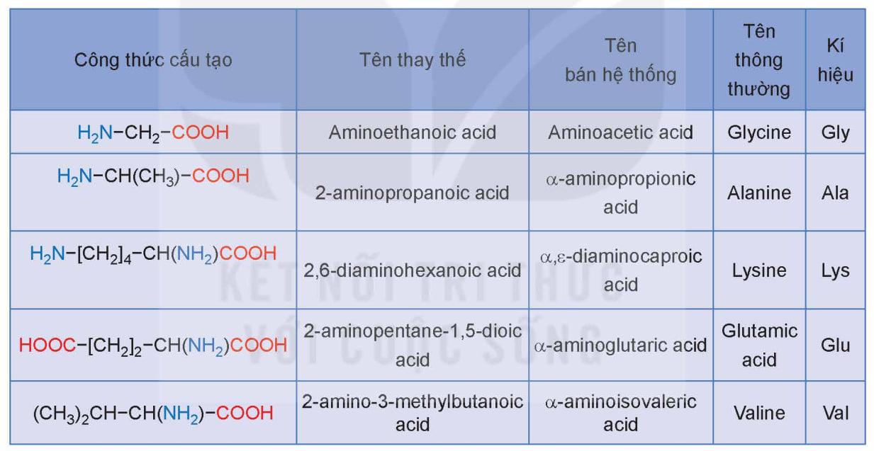 Tên gọi của một số amino acid