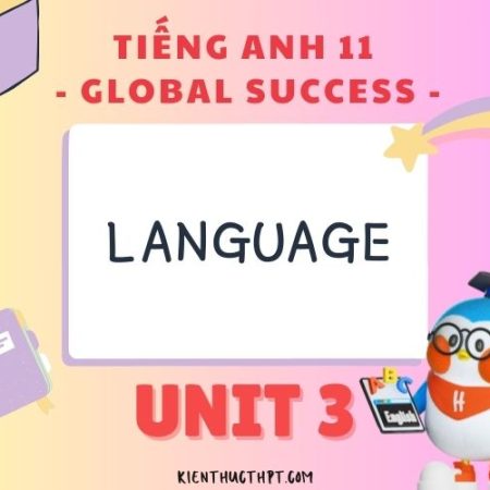 Giải bài tập Tiếng Anh 11 Unit 3 Language – trang 29, 30, 31