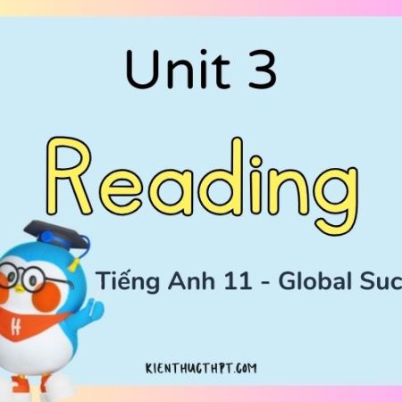 Hướng dẫn giải bài tập Tiếng Anh 11 Unit 3 Reading hiệu quả