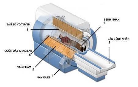 Máy MRI hoạt động dựa trên nguyên lý cộng hưởng từ hạt nhân, cho phép tạo ra hình ảnh chi tiết bên trong cơ thể mà không cần xâm lấn.