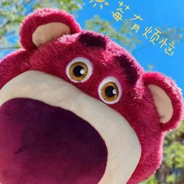 Gấu dâu làm đôi