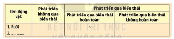 Bảng kiểu biến thái của động vật