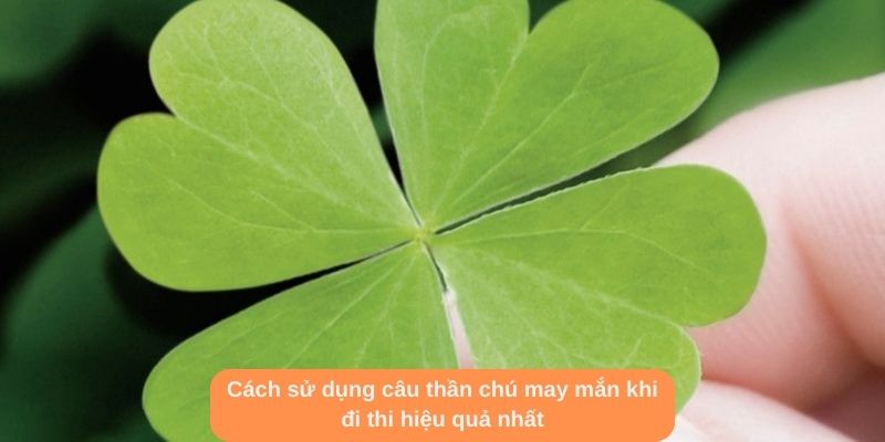 Cách sử dụng câu thần chú may mắn khi đi thi hiệu quả nhất