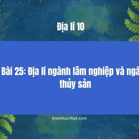 Giải bài tập Địa 10 bài 25 Kết nối tri thức chi tiết nhất