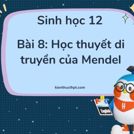 Hướng dẫn giải bài tập Sinh 12 bài 8 đầy đủ và chi tiết nhất