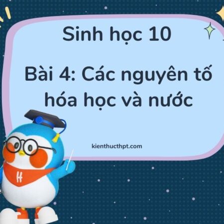 Giải sinh 10 bài 4: Các nguyên tốc hóa học và nước – KNTT