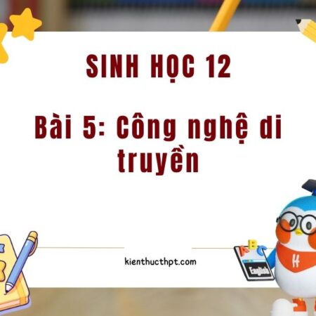 Hướng dẫn giải Sinh 12 bài 5 Kết nối tri thức đầy đủ nhất