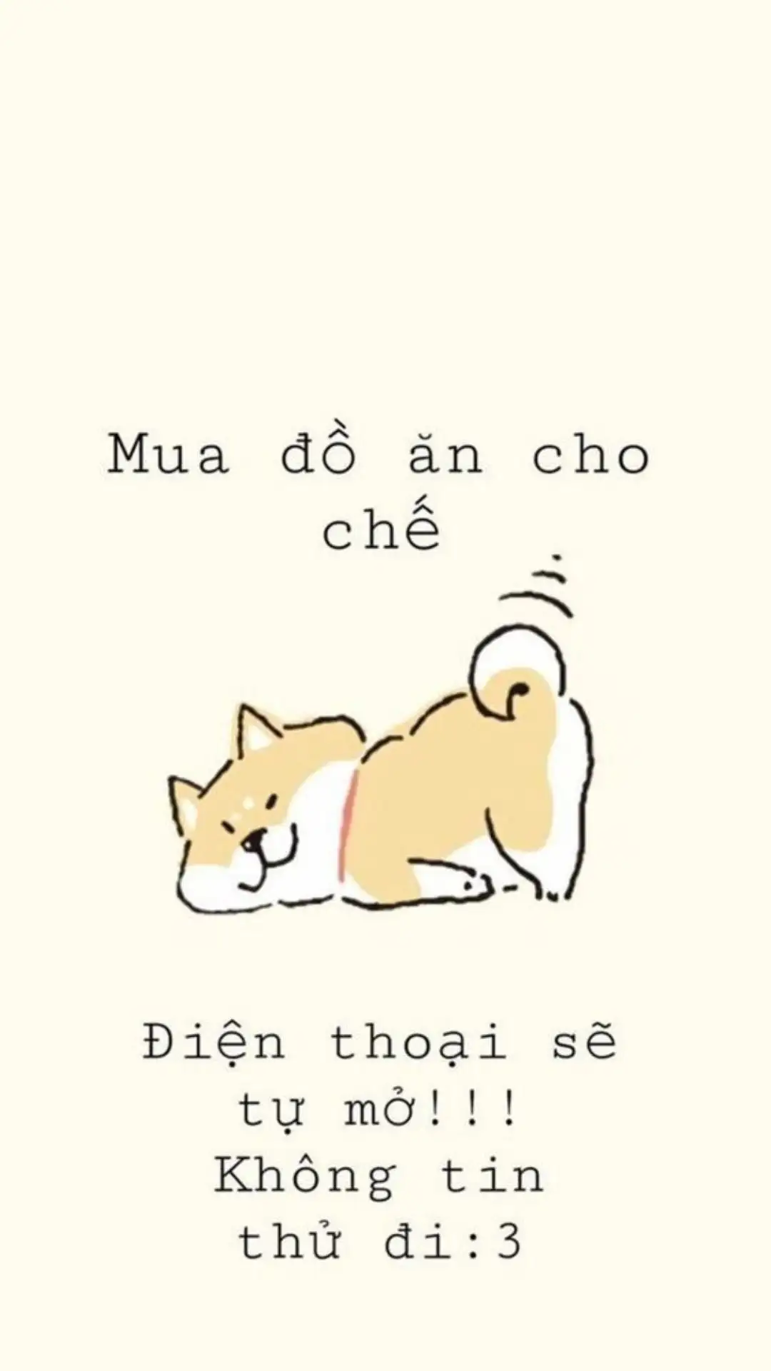 ảnh nền điện thoại bỏ xuống dễ thương