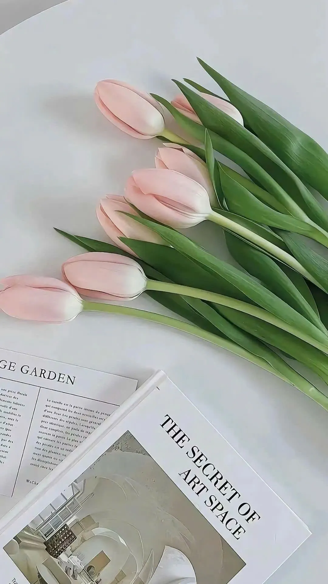 Ảnh nền điện thoại hoa tulip cuốn hút nổi bật