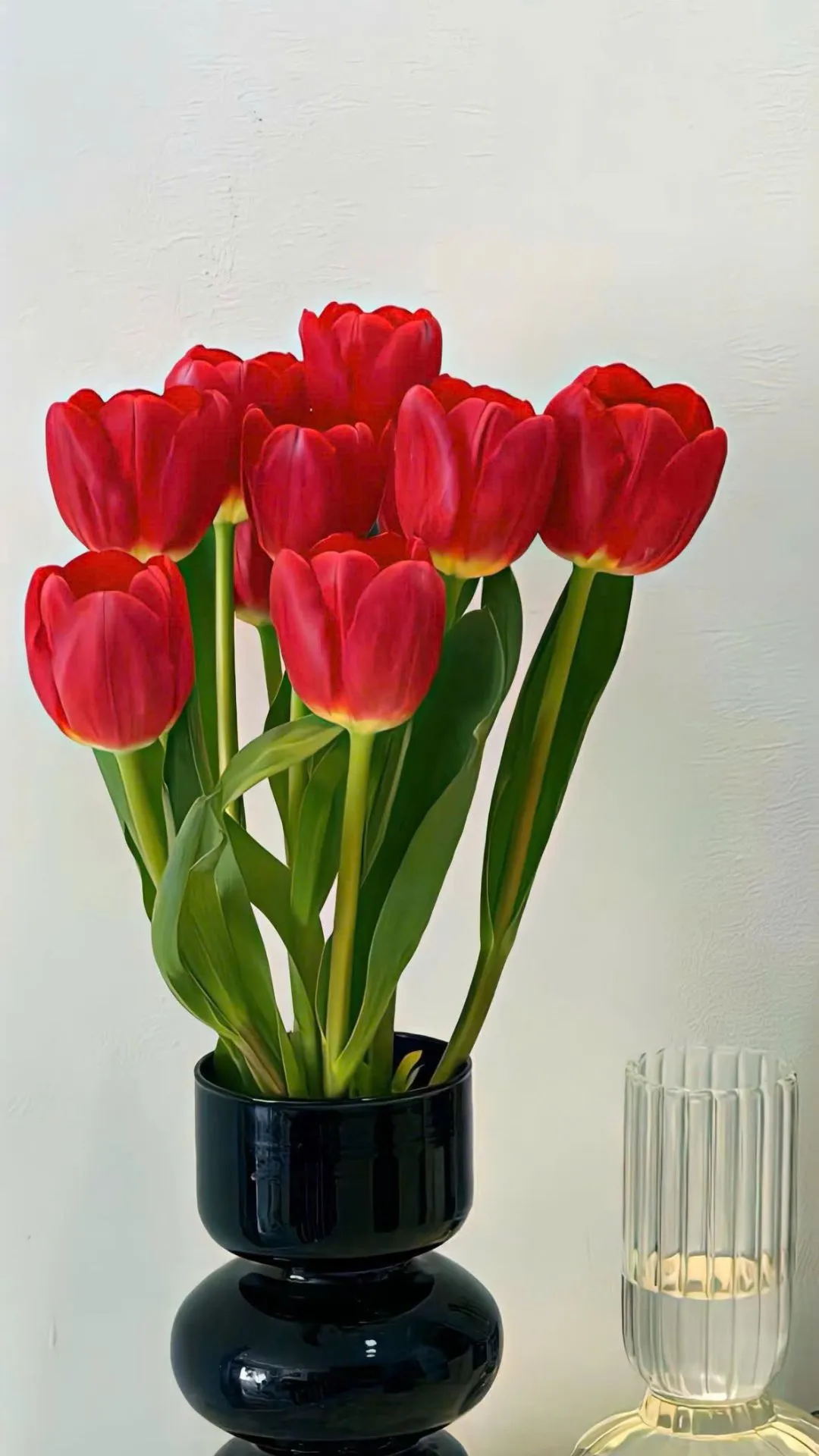 Hình nền tulip đẹp mang lại cảm giác thư giãn